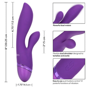 adult sex toy Aura Dual Lover Rechargeable VibratorSex Toys > Sex Toys For Ladies > Vibrators With Clit StimsRaspberry Rebel